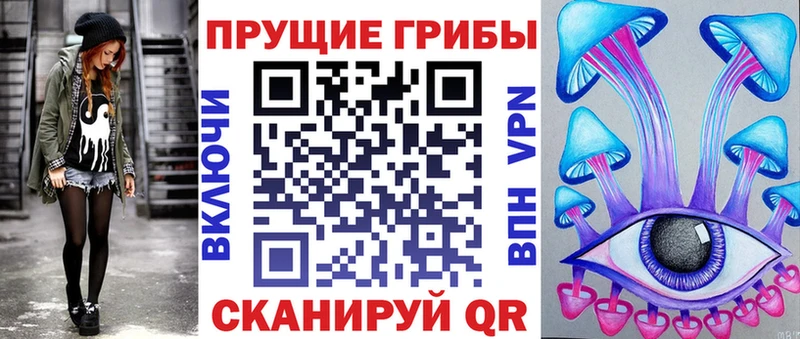 Псилоцибиновые грибы ЛСД  даркнет сайт  Кимры 