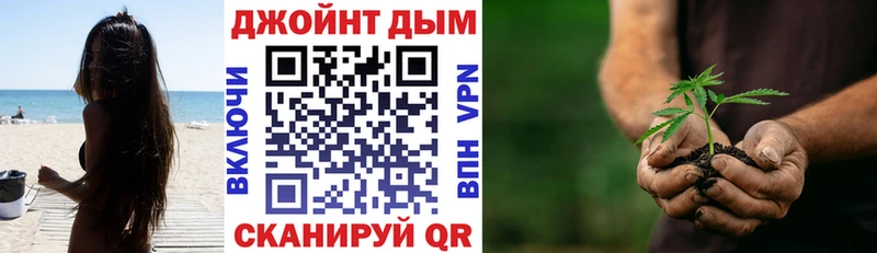 Конопля сатива Кимры